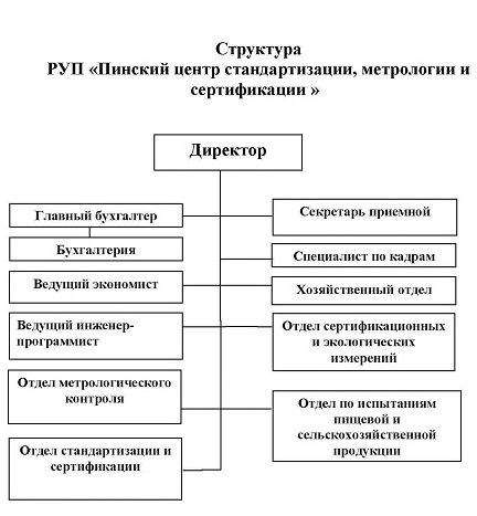 Структура РУП 2018.jpg